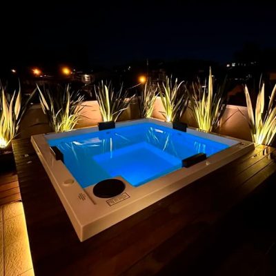 araucaria-2-r1tyhw53hitq9z7tn6bvfzobhbftw8wslgo1w1n0kg